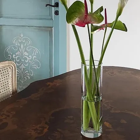 Apartamento Il Racconto Aria *